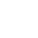 Purple Orange